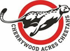 Cherrywood Acres Cheetahs